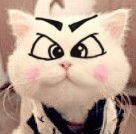 網(wǎng)站首頁不在第一了?