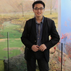 優化工作的市場價一般是多少？